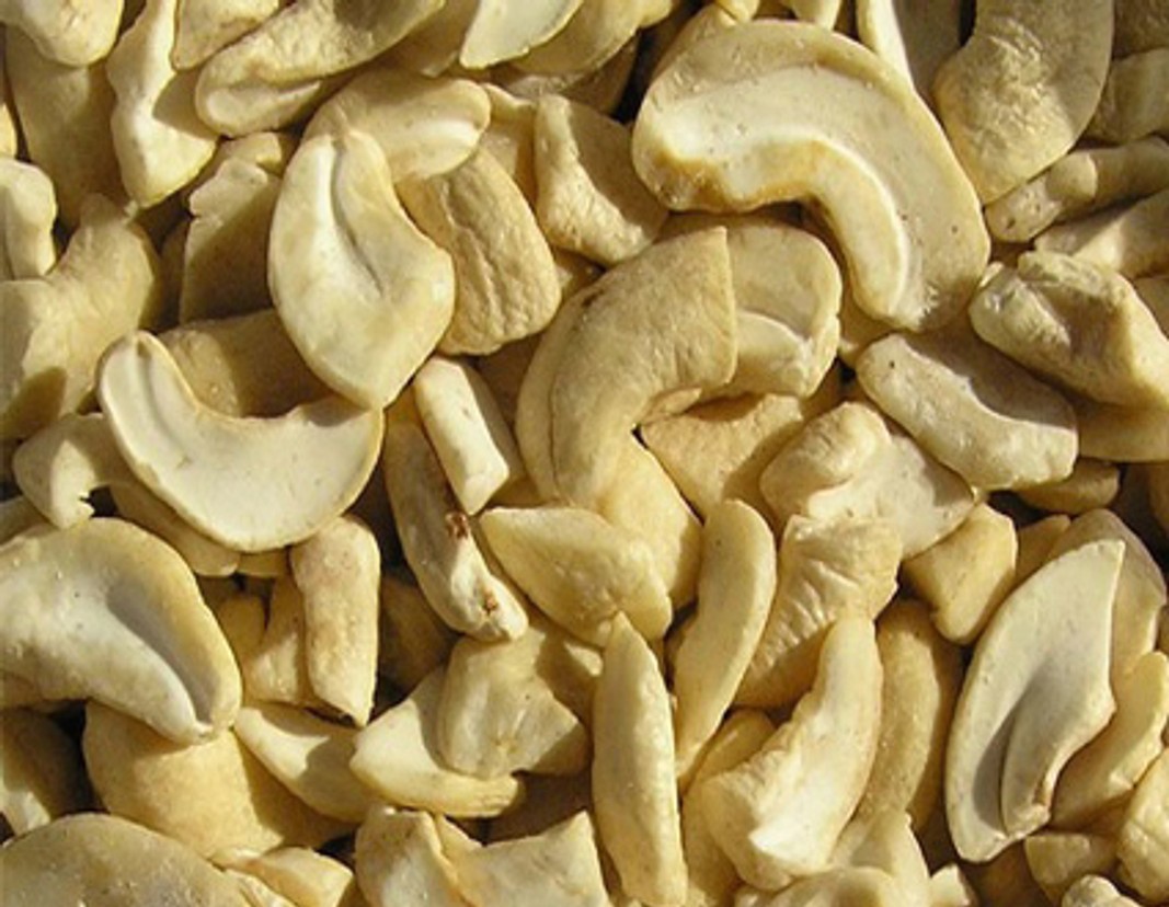 Infrastructure -   Harvest Pride Trading L.L.C - FZ