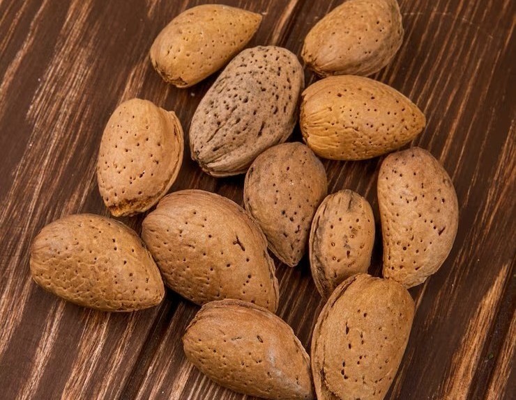 Infrastructure -   Harvest Pride Trading L.L.C - FZ