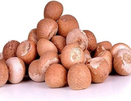 Infrastructure -   Harvest Pride Trading L.L.C - FZ