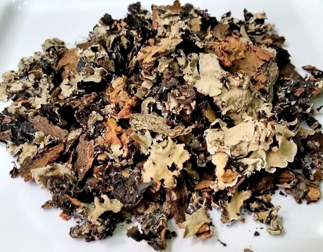 Infrastructure -   Harvest Pride Trading L.L.C - FZ