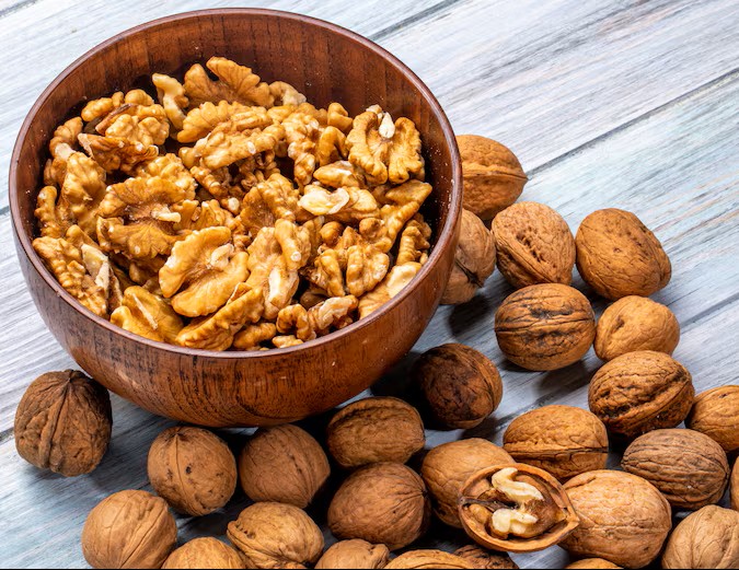 Infrastructure -   Harvest Pride Trading L.L.C - FZ